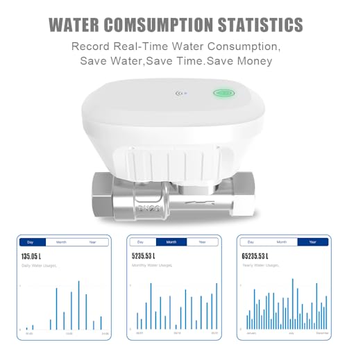 DN20 Smart Water Valve 3/4 Inch Smart Water Shutoff Valve Management System - color: 3/4"