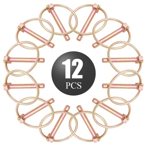 12 Pcs 1/4 Inch Locking Pin with Ring - color: 12Pcs, size: 1/4 x 1-3/4 inch