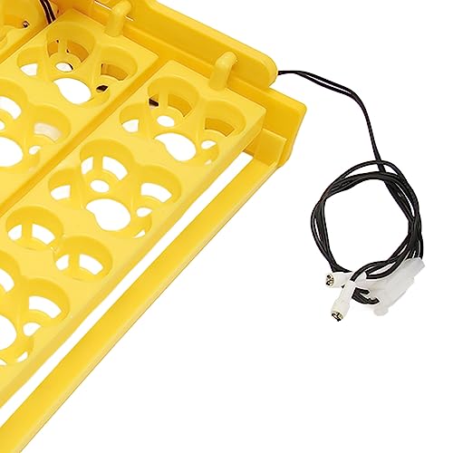 Egg Incubator Tray, Multifunction Automatic Egg Turner Incubator Tray Eggs Automatic Egg Turner Turning Tray for 16 Duck Eggs 16 Eggs 72 Quail Eggs Incubation (AC12V) - size: AC12V
