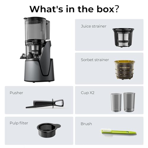 EanOruus Juicer Machines, 3-in-1 Cold Press Juicer, Premium Gray - color: Premium Gray