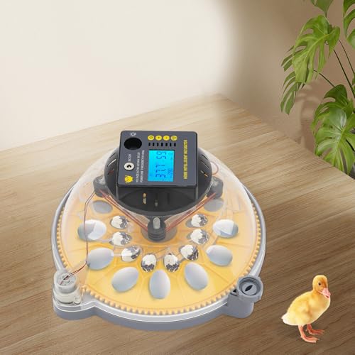Chicken Egg Incubator 12 Eggs, Automatic Digital Hatcher, Poultry Hatching Machine, 5 Preset Modes, Auto Turner, Temperature & Humidity Control, for Chicken, Duck, Goose, Bird - size: 12 Eggs