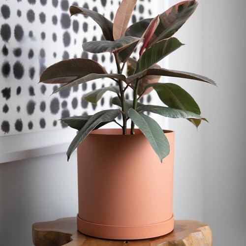 Bloem Mathers 10" Modern Plastic Planter, Muted Terra Cotta, 2-Pack - color: Muted Terra Cotta, size: 10" (Pack of 2)