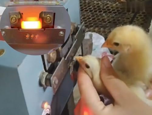 Electric Debeaking Machine, 110V Automatic Debeaker for Chicken, Chick Chicken Beak Trimmer, Beak Cutter Tool Cutting Equipment, Adjustable Temperature