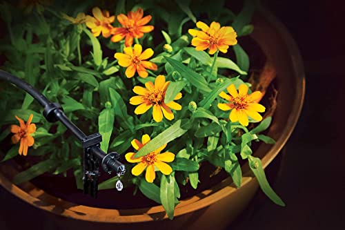 Rain Bird PATIOKIT Drip Irrigation Kit, 1/4" - size: 42-Piece Kit, style: Patio Watering Kit