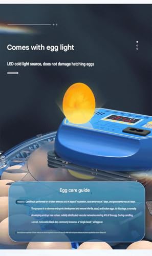JUJOJB 12-Egg Incubator with Automatic Turner and Temperature Control - color: Blue