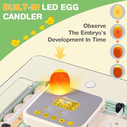 Sailnovo 48 Egg Incubator for Hatching Eggs,Ideal for Farm/School/Lab,Green - color: Green