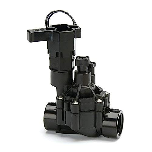 Rain Bird DVF Inline Valve with Flow Control 1 in. FPT | 100-DVF-NPT