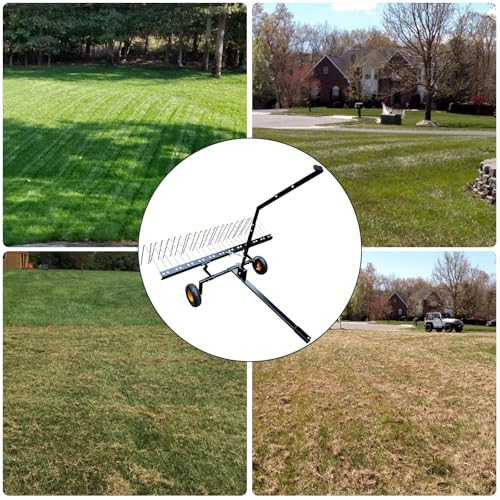 ATV Pull Behind Landscape Rake,60-inch Pine Straw Rake,Steel Pull Behind Dethatcher for Tractor, ATV, UTV,