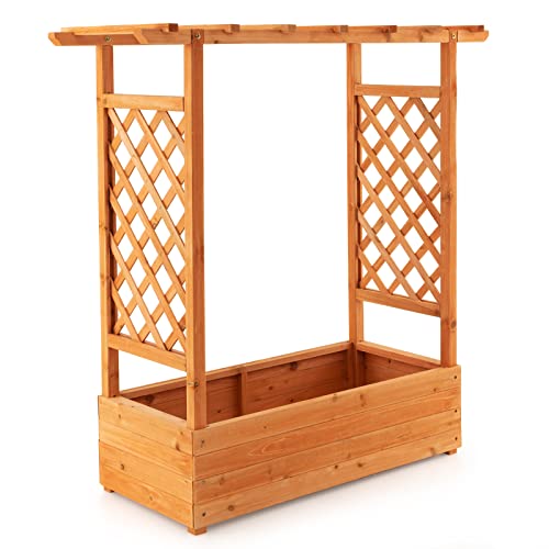 S AFSTAR Raised Garden Bed with Arch Trellis, Wood Planter Box with Hanging Roof, Side Trellis, 4 Drainage Holes, Above Ground Elevated Garden Bed for Outdoor Climbing Plants Vines Patio - size: 43.5"L x 17.5"W x 44.5"H