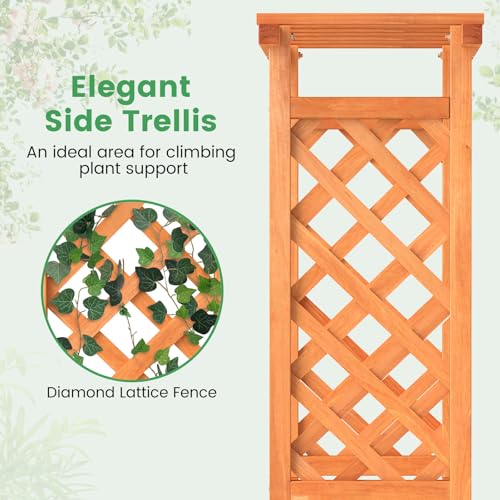 LDAILY Raised Garden Bed with Trellis, Above Ground Garden Bed with Hanging Roof, Side Trellis, & Drainage Holes, Planter Box for Outdoor Climbing Plants Vines Flowers (1, 31" L x 14" W x 60" H) - size: 31" L x 14" W x 60" H