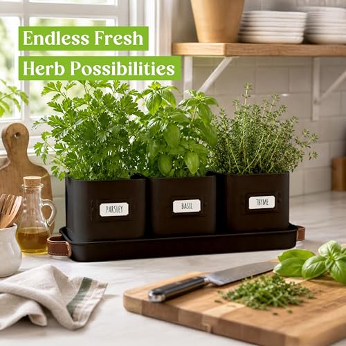 volila Herb Planter Indoor - Set of 3 Black Indoor Herb Garden Pots for Plants with Leather Handled Tray - Window Sill Plant Shelf - Herb Pots with Drainage Holes and Labels - color: Black