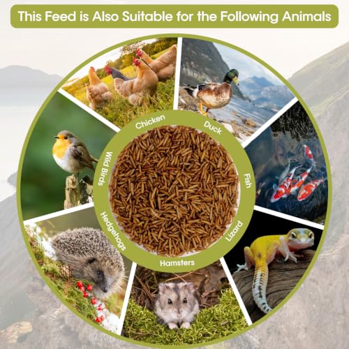 5LB Dried Black Soldier Fly Larvae for Chicken, Poultry, Wild Birds,No Additives, 100% Natural Non-GMO, More Calcium Chicken Treats Than Mealworms - size: 5 Pound (Pack of 1)