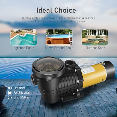 2HP Two Speed Pool Pump for In/Above Ground Pools 6600/2640GPH 230V - color: Deep Gold