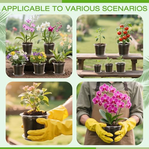 3 Inch Clear Nursery Pots with Drainage Trays, 15 Pack Plastic Pots for Plants, Clear Pot for Seed Starting, Transplanting, Succulents, and Indoor Gardening (3 inch) - size: 3 inch