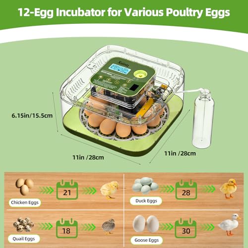 12 Egg Incubator for Hatching Eggs with Automatic Turning, Temperature & Humidity Display, Egg Candler, and Hatch Day Alert - Ideal for Chicken, Duck, and Quail Eggs