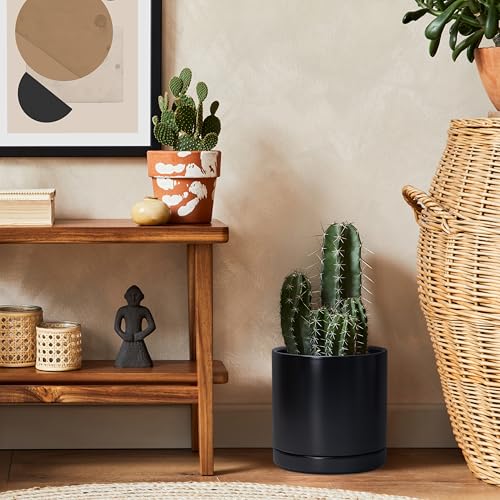 D'vine Dev 8.2 Inch Ceramic Planter Pot, Black, 94-O-D-2 - color: Black, size: Medium