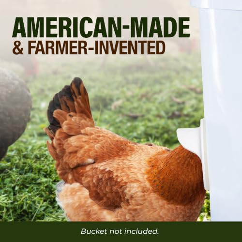 Poultry Pro DIY Chicken Feeder Kit, Weatherproof, 3 Ports & Hole Saw - style: Original Feeder 3 Pack