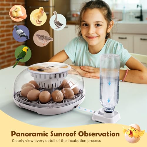 Egg Incubator for Hatching Chicks, Automatic Egg Turner Holds 12 Eggs - color: Egg12
