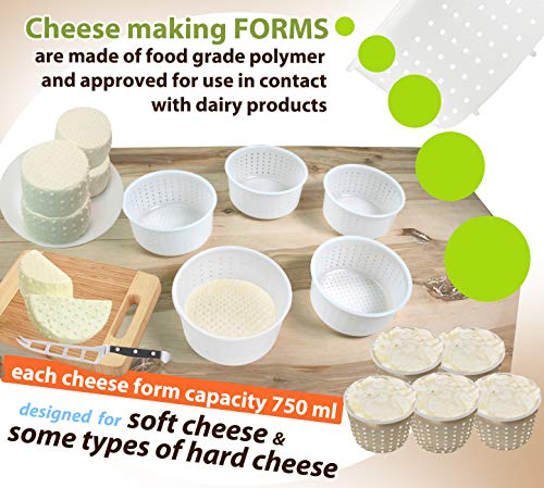 PetriStor 5 pcs Soft Cheese Mold for Cheese Making 0.8QT - Small Cheese Molds - Homemade Cheese Making Supplies - Cream Cheese Form Mold - Moldes Para Queso Fresco Casero - Feta Cheese Making Basket