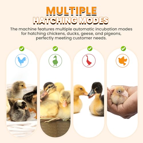 Cabinet Incubators for Hatching Eggs, 24 Egg Incubator