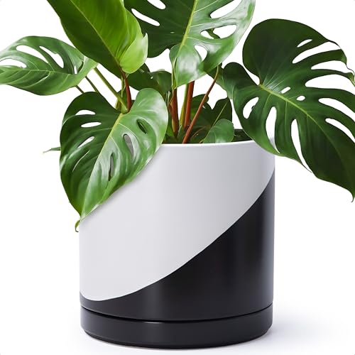 D'vine Dev 12 Inch Ceramic Planter Pot, Black White Diagonal, 94-O-F-K - color: Oblique Monochrome Black & White, size: X-Large