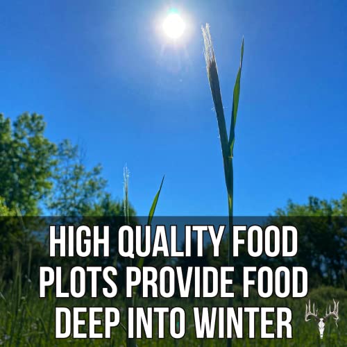Crooked Bend Last Resort, 25LB Bulk Size, Food Plot Seed for Deer, Mix of Cereal Grain Rye, Wheat, Triticale, Barley, & Oats, Pheasant, Turkey, Dove, Wildlife & Whitetail Hunting Foodplots & Pasture - size: 25 Pound (Pack of 1)