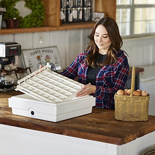 Farm Innovators Automatic Egg Turner, 41 Spot Chicken Egg Turning Tray with Thermometer for Improved Hatching Rate - Compatible with Select Incubators - size: Pack of 1