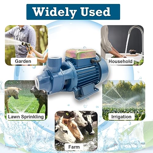 Water Transfer Pump,110V Electric Water Pump,Shallow Well Pump,Centrifugal Clean Water Pump For Pond Water Transfer Pressure Tank Water Filling, Irrigation,Water Supply (1 HP Water Booster Pump) - style: 1 HP Water Booster Pump