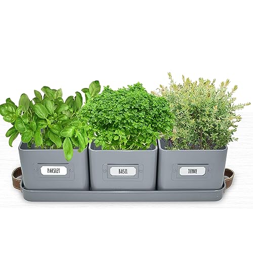 volila Herb Planter Indoor - Set of 3 Grey Indoor Herb Garden Pots for Plants with Leather Handled Tray - Window Sill Plant Shelf - Herb Pots with Drainage Holes and Labels - color: Charcoal Grey