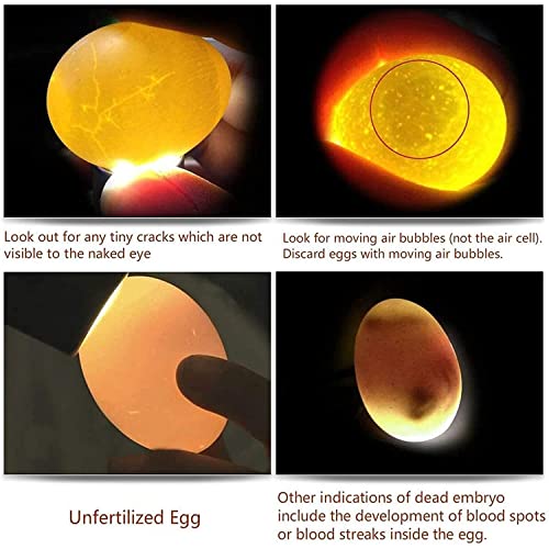 Egg Candler Light Rechargeable USB Eggs Candling Tester - color: Black