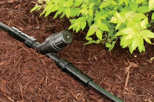 Rain Bird RBY100S Drip Filter, 1" - size: 1" x 1"
