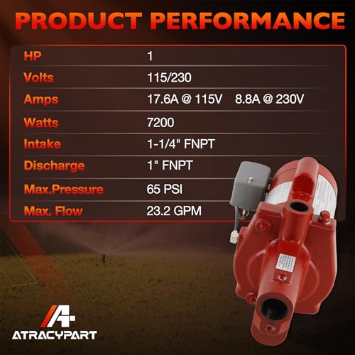 RJS-100-PREM Premium Cast Iron Shallow Well Jet Pump