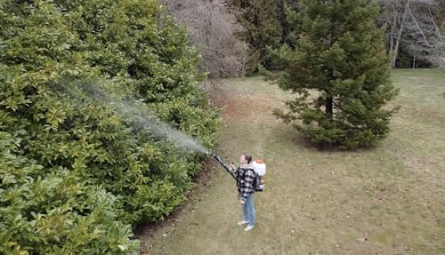 Invatech Italia Mosquito fogger Model 870 Mister Duster Mosquito Sprayer Backpack Sprayer Cold Fogger