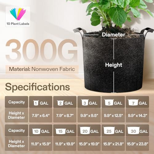 VIVOSUN 10-Pack 3 Gallon Plant Grow Bags Heavy Duty Thickened Nonwoven Fabric Pots with Handles - color: Black, size: 3 Gallons (Pack of 2)
