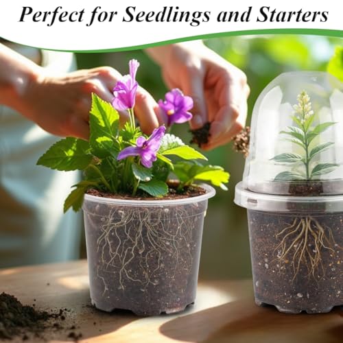 RooTrimmer Transparent Nursery Pots 4Inch with Humidity Domes for Seeds Starting, Clear Plastic Plant Pots with Drainage Holes (4Inch, 30Pcs,Clear Pots with Lids) - color: Clear Pots With Domes-30p, size: 4Inch