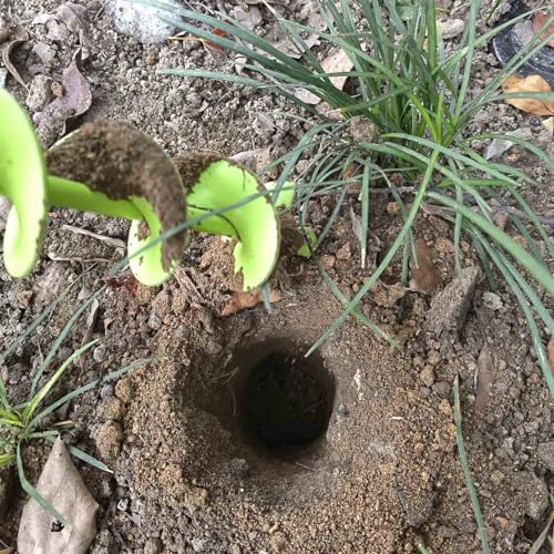 TCBWFY Auger Drill Bit for Planting 1.6x16.5inch Extended Length Garden Auger Spiral Drill Bit for Planting Bulbs Flowers,Post Hole Digger for 3/8”Hex Drill - size: 1.6"x16.5"-Red