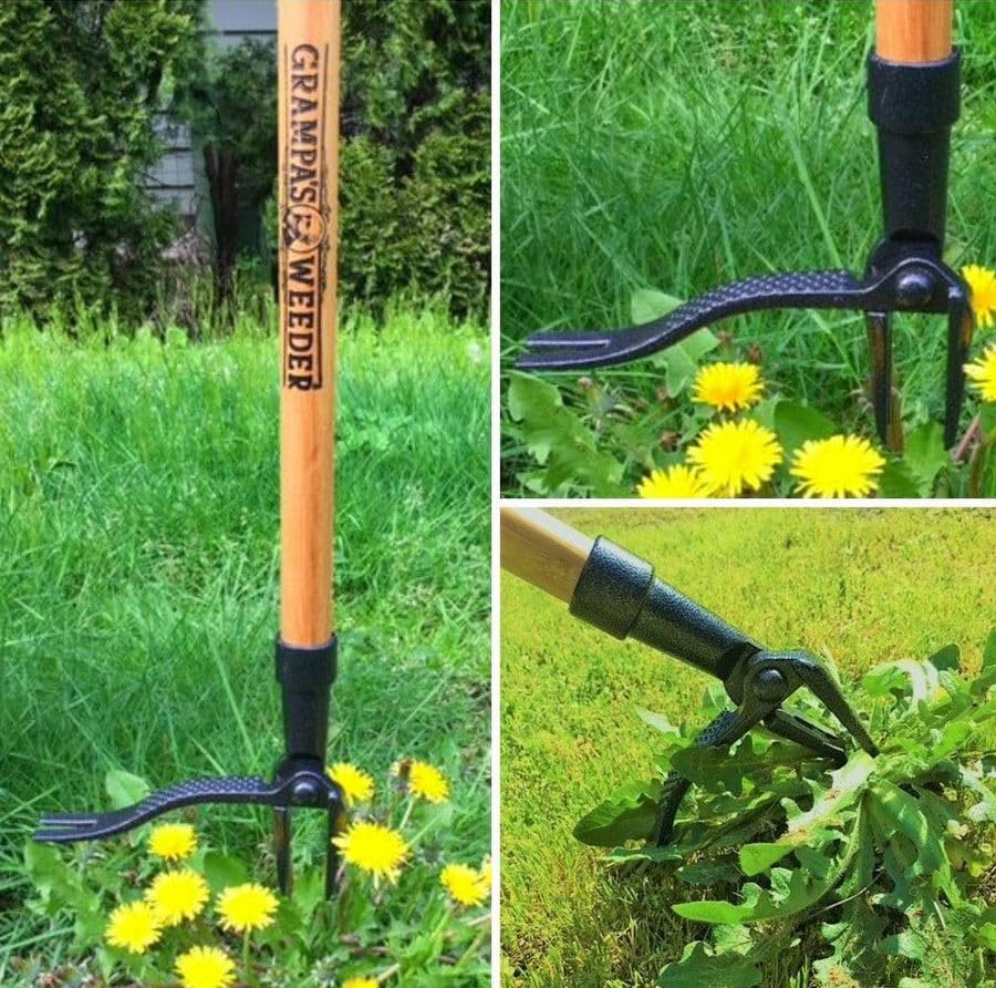 Grampa's Weeder Original Stand Up Weed Puller Tool with Bamboo Long Handle