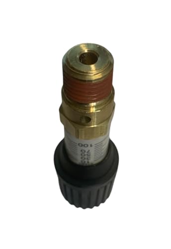 American Made Brass Pressure Relief 0-100 PSI Adjustable Range Valve