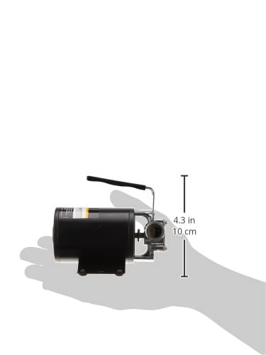 WAYNE PC1-12V Bronze Plated Portable Transfer Pump - Up to 350 Gallons Per Hour - Portable Multi-Use Pump