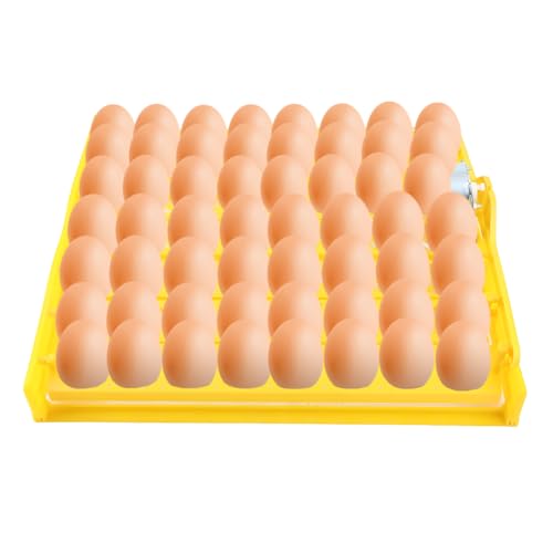 Egg Incubator, 56 Eggs Automatic Turning Tray for Chicken Duck Quail