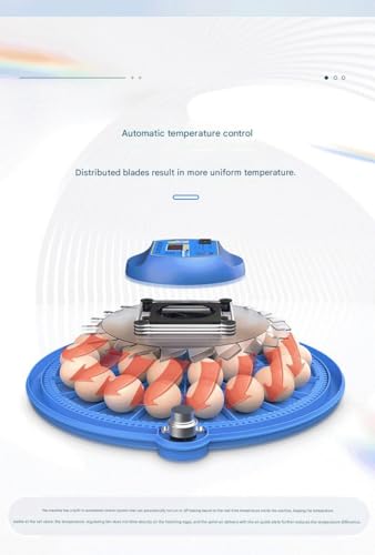 JUJOJB 12-Egg Incubator with Automatic Turner and Temperature Control - color: Blue