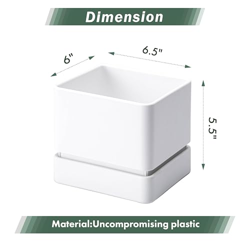 D'vine Dev Plastic Herb Planter Pot, 6 in, White, 76-Y-A1-2 - color: White, size: 6 Inch x 6.5 Inch