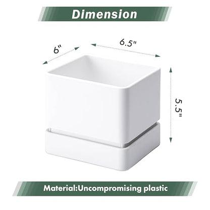 D'vine Dev Plastic Herb Planter Pot, 6 in, White, 76-Y-A1-2 - color: White, size: 6 Inch x 6.5 Inch