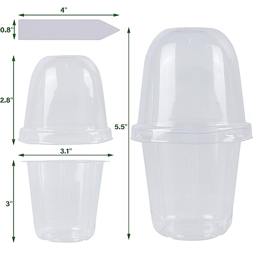 winemana 36 Set Nursery Pots with Humidity Dome, Clear Nursery Pots for Plants, Seed Starting Pots with Drainage Holes & Plant Labels for Vegetables Flowers Garden Plants - size: Clear