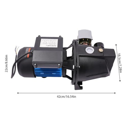 Deep Well Jet Pump, Cast Iron Convertible Pump with Ejector Kit, Well Depth Up 0-25ft, Automatic Pressure Switch (0.75HP) - size: 1HP