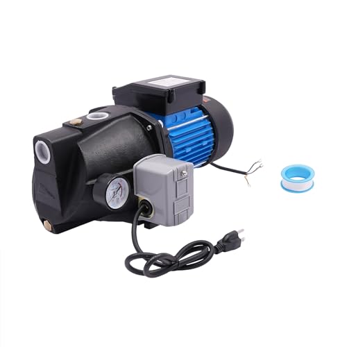 1 HP Shallow Well Pump with Ejector Kit - Cast Iron Jet Water Pump, Well Depth Up to 25ft, Automatic Pressure Switch, 110V Water Transfer Pump for Farm Lawn Garden (1 HP)