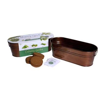 Buzzy Seeds Windowsill Herb Kit, Metal Planter, Basil Cilantro & Chives - color: Copper