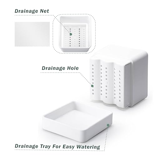 D'vine Dev Plastic Herb Planter Pot, 6 in, White, 76-Y-A1-2 - color: White, size: 6 Inch x 6.5 Inch