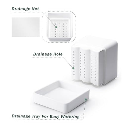 D'vine Dev Plastic Herb Planter Pot, 6 in, White, 76-Y-A1-2 - color: White, size: 6 Inch x 6.5 Inch