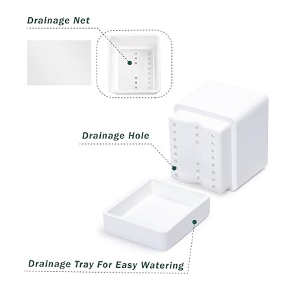 D'vine Dev 2-Pack Plastic Herb Planter Pots, 4 in, White, 76-Y-A2-1 - color: White, size: 8 Inch x 4.5 Inch